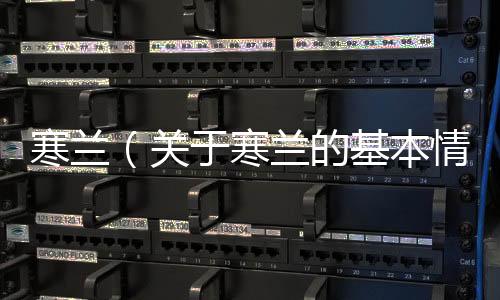 寒蘭（關(guān)于寒蘭的基本情況說明介紹）