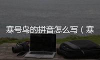 寒號鳥的拼音怎么寫（寒號鳥的拼音）