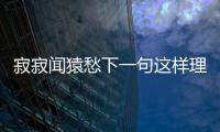 寂寂聞猿愁下一句這樣理解正確嗎?
