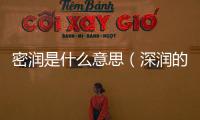 密潤是什么意思（深潤的意思是什么）
