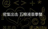 密集出擊 五糧液重拳整頓“同質化”產品