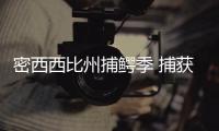 密西西比州捕鱷季 捕獲359公斤巨鱷紀錄連刷新