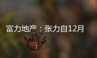 富力地產(chǎn)：張力自12月29日起已辭任公司董事及行政總裁