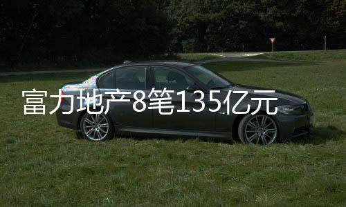 富力地產8筆135億元境內公司債券整體展期成功