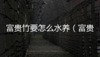 富貴竹要怎么水養（富貴竹的水養殖方法）
