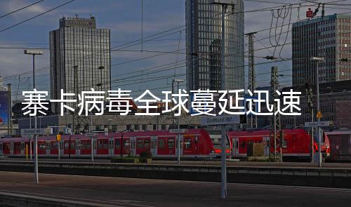 寨卡病毒全球蔓延迅速 較好預防方式是防止蚊蟲叮咬