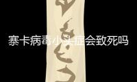 寨卡病毒小頭癥會致死嗎
