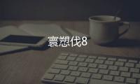 寰愬伐8