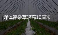 媒體評雜草限高10厘米：形式主義 畸形政績觀作祟