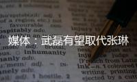 媒體：武磊有望取代張琳芃擔任中新之戰隊長