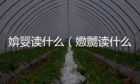 媕娿讀什么（嫐嬲讀什么）