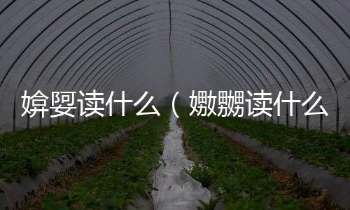 媕娿讀什么（嫐嬲讀什么）
