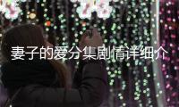妻子的愛分集劇情詳細介紹(1