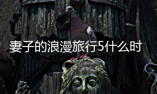 妻子的浪漫旅行5什么時候開播小助手是誰