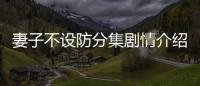 妻子不設防分集劇情介紹