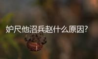 妒尺他沼兵趙什么原因?