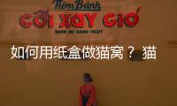 如何用紙盒做貓窩？ 貓窩怎么做手工制作