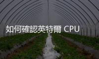 如何確認(rèn)英特爾 CPU 是否損壞？官方人員建議拿 NVIDIA 顯卡檢查