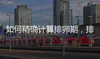 如何精確計算排卵期，排卵期計算方法詳解