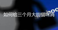 如何給三個月大的貓咪消毒呢(怎么給三個月大的貓咪洗澡)