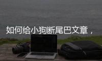 如何給小狗斷尾巴文章，如何給小狗斷尾