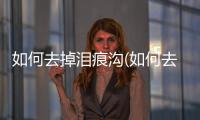 如何去掉淚痕溝(如何去掉狗淚痕)