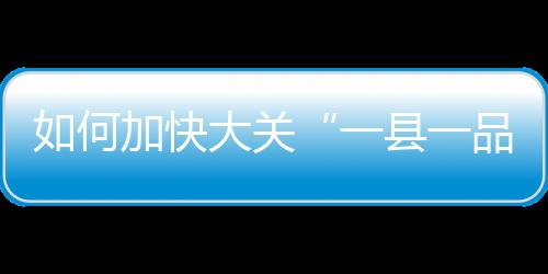 如何加快大關“一縣一品”筇竹產(chǎn)業(yè)發(fā)展步伐？這行人去了北京