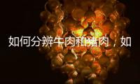 如何分辨牛肉和豬肉，如何分辨牛里脊肉