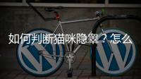 如何判斷貓咪隱睪？怎么看貓咪隱睪