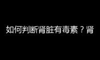 如何判斷腎臟有毒素？腎臟排毒的方法有哪些？