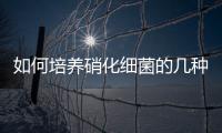 如何培養(yǎng)硝化細菌的幾種方法，如何培養(yǎng)硝化細菌