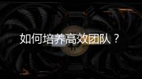 如何培養高效團隊？
