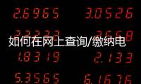 如何在網(wǎng)上查詢/繳納電費(fèi)明細(xì)，如何在網(wǎng)上查詢/繳納電費(fèi)