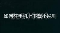 如何在手機上下載小說到mp4中，如何在手機上下載小說