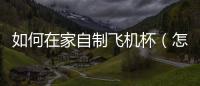 如何在家自制飛機杯（怎樣自制飛機杯）