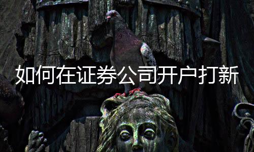 如何在證券公司開戶打新債（如何在證券公司開戶）