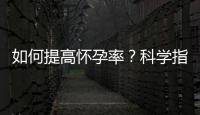 如何提高懷孕率？科學指導方法大揭秘