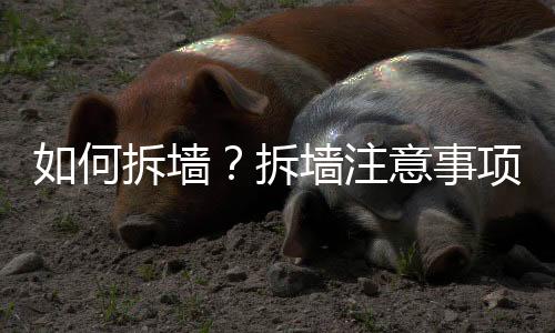 如何拆墻？拆墻注意事項有哪些？