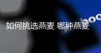 如何挑選燕麥 哪種燕麥減肥