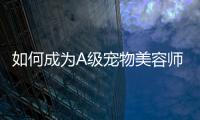 如何成為A級寵物美容師，該選什么學校？ 寵物美容專業學校