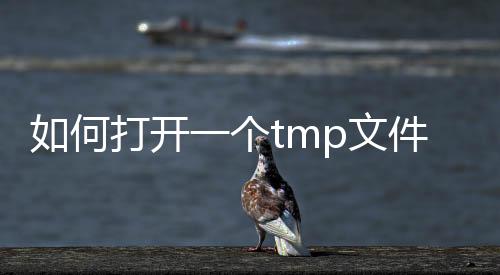 如何打開一個(gè)tmp文件用什么軟件打開tmp文件