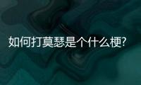 如何打莫瑟是個什么梗?
