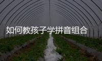如何教孩子學拼音組合 如何教孩子學拼音
