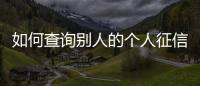 如何查詢別人的個人征信（個人征信查詢怎么查）