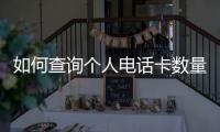 如何查詢個人電話卡數量？