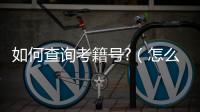 如何查詢考籍號?（怎么查詢考籍號）