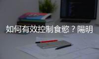如何有效控制食慾？陽明交大研究建議運動後攝取高蛋白飲食