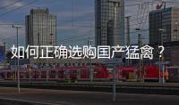 如何正確選購國產猛禽？福田拓陸者馭途導購