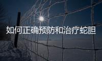 如何正確預防和治療蛇膽皰疹？