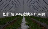 如何快速有效地治療雞眼？推薦幾款好用的藥品